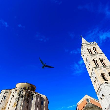 Ryanair'S Urban Flat In Zadar-Kolovare Beach מראה חיצוני תמונה